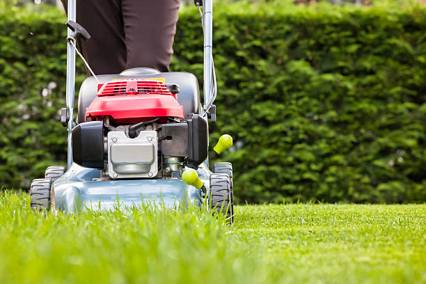 Mowing the grass Grass Mowing in Nashville TN