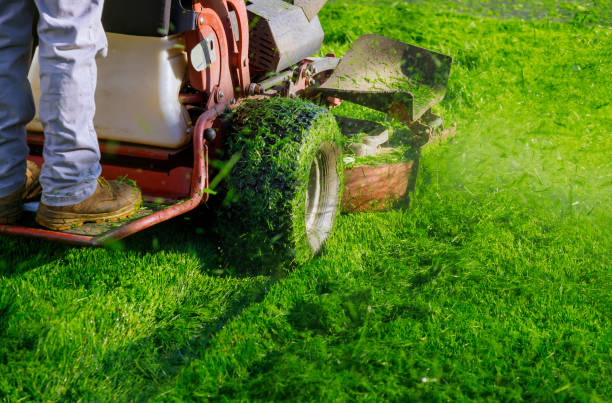 lawn cutting in Nashville Nashville Lawn Mowing